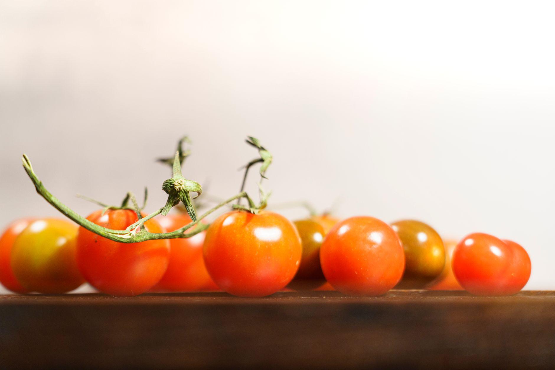 cendres de bois et tomates cendres de bois et tomates