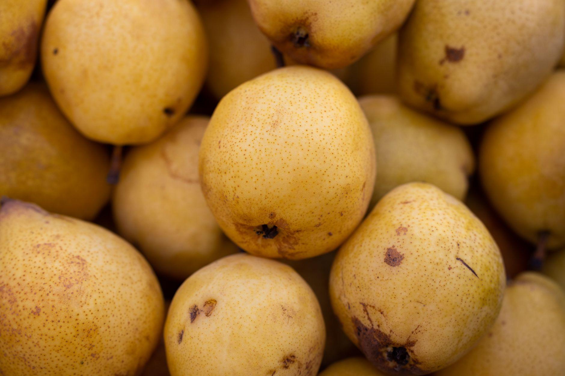fruit en y fruit en y